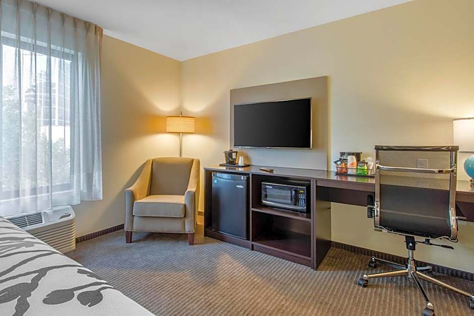 Comfort Inn St. Louis Airport