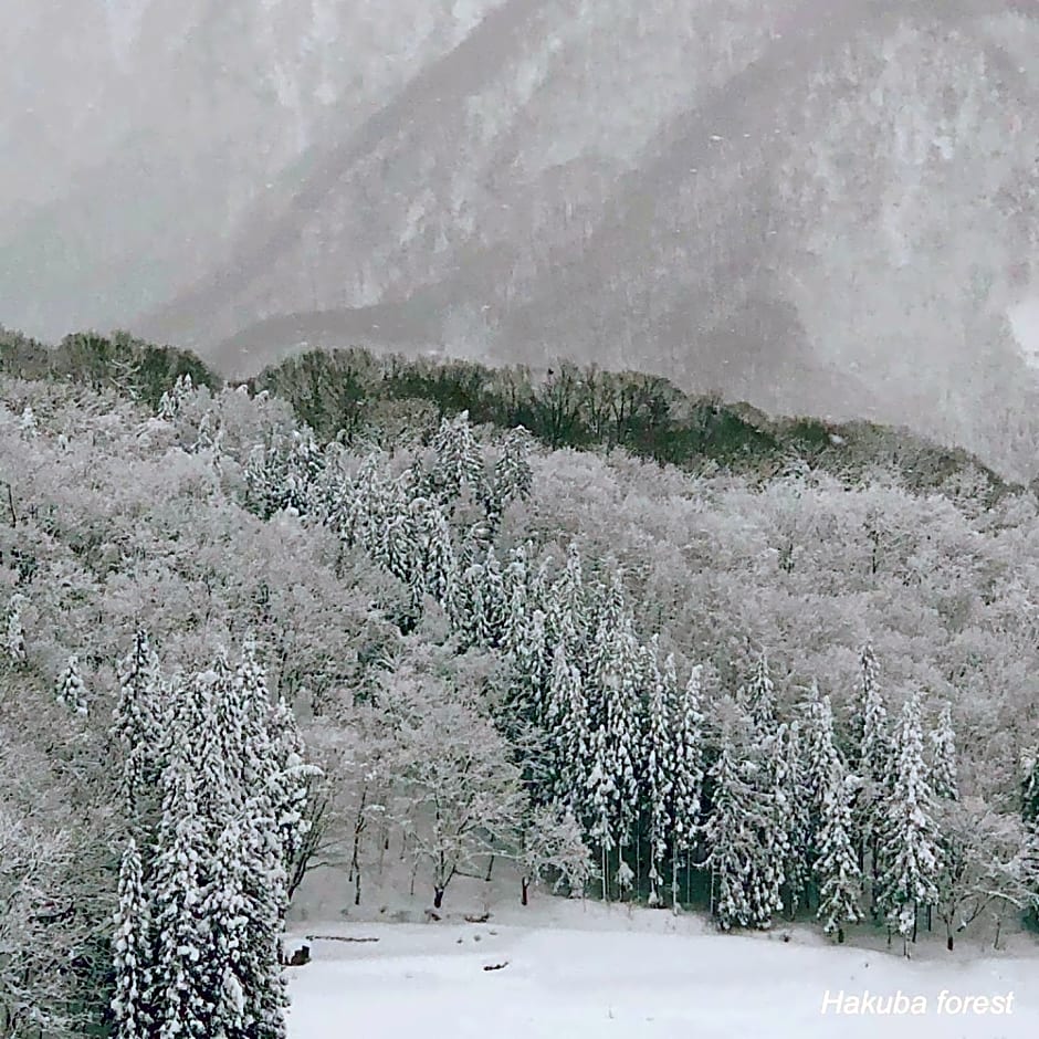 The Guest House Japan Hakuba