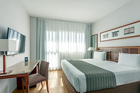 Double room (1 adult)