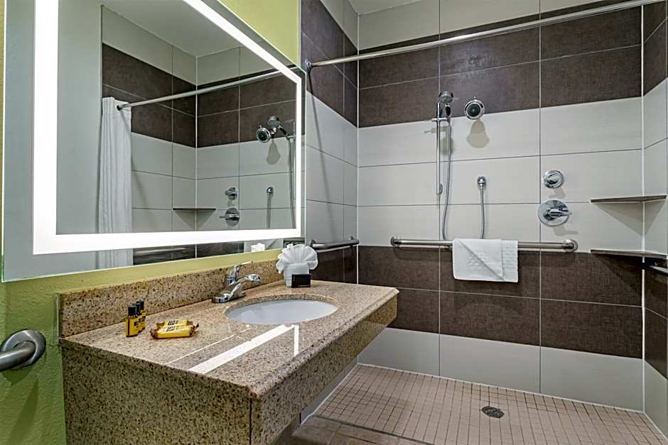 Best Western Plus North Houston Inn & Suites