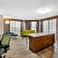 Holiday Inn Express & Suites - Lincoln Downtown By IHG