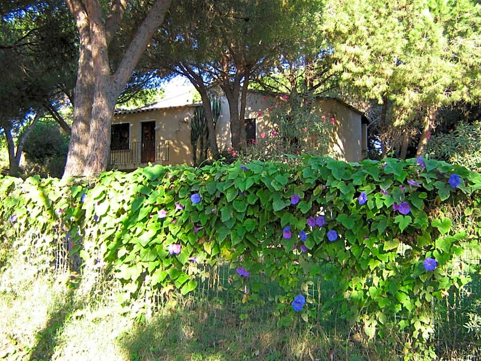 Baia Delle Palme Beach