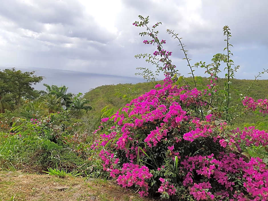 Domaine Choco Vanille