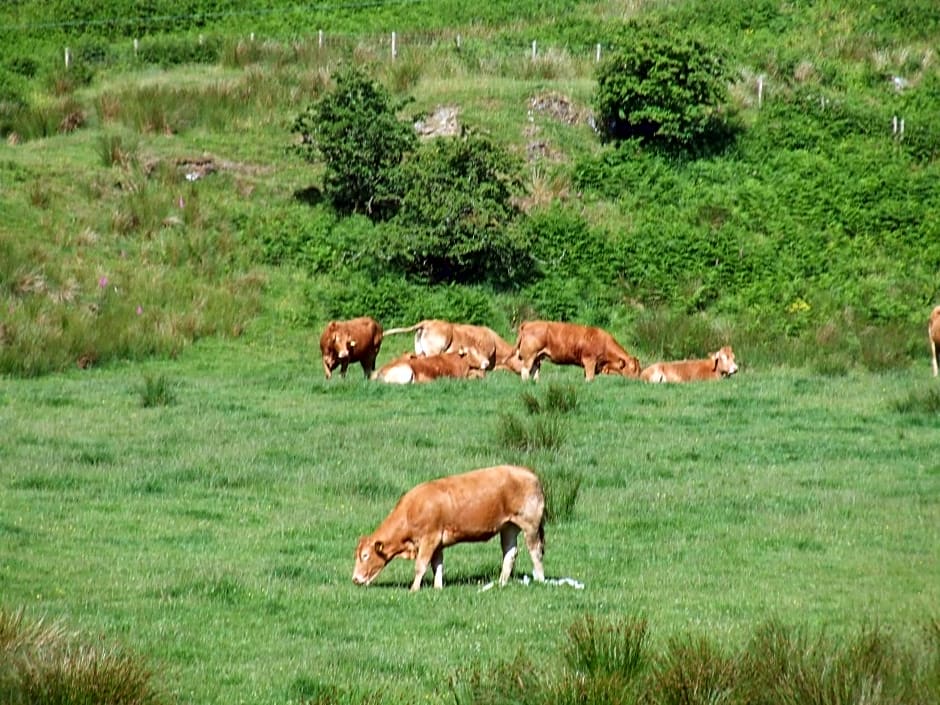 Garbhein Bed & Breakfast
