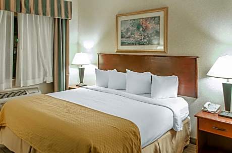 1 King Bed, Suite, Nonsmoking