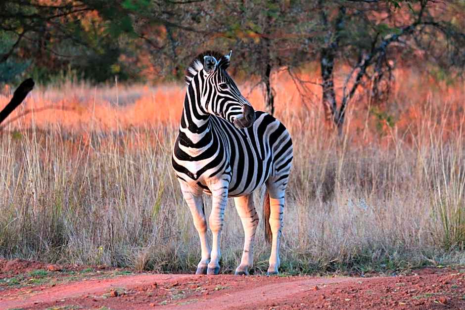 Bass Lake Country Lodge