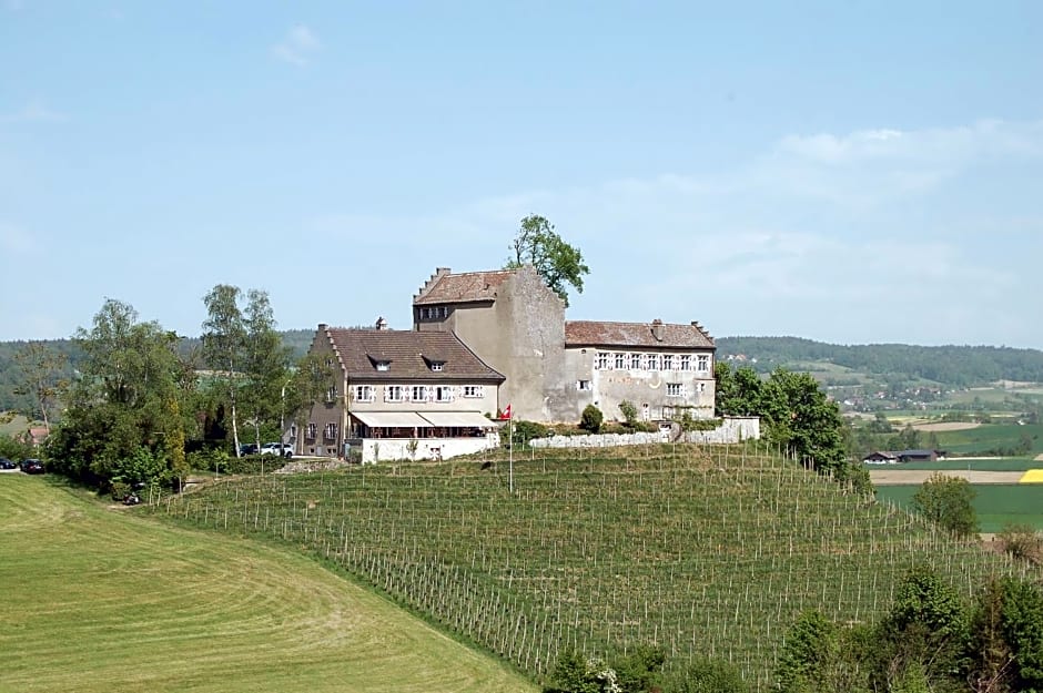 Hotel & Restaurant Schloss Schwandegg