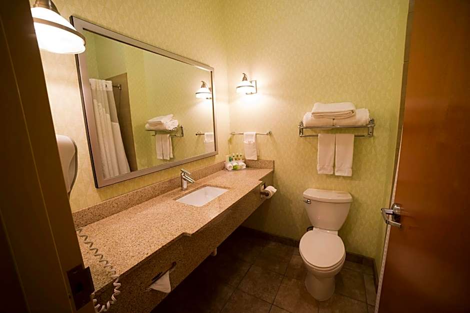 Holiday Inn Express Hotel & Suites Atlanta East - Lithonia By IHG