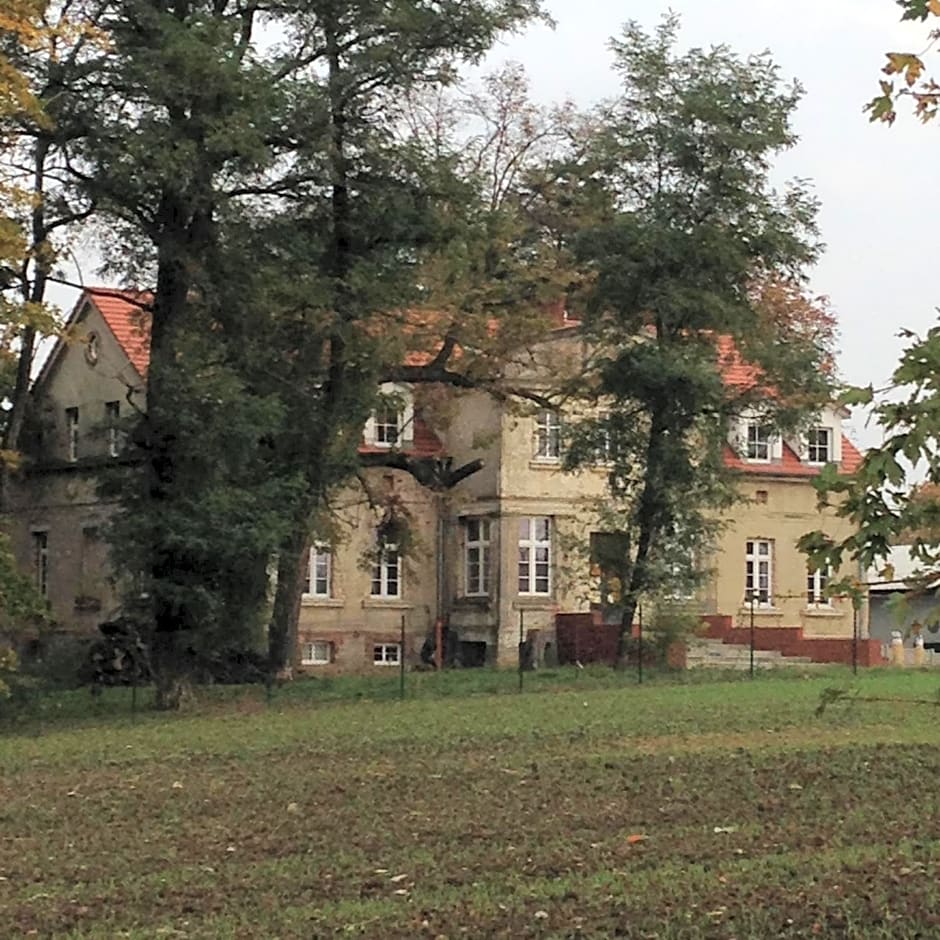 Palac Osowo gostynskie