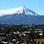 16 Havelock Bed and Breakfast
