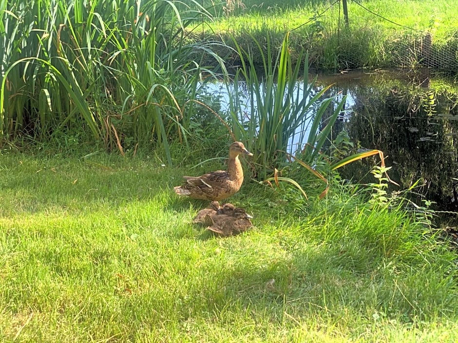 B&B De Hooiberg Edam-Volendam