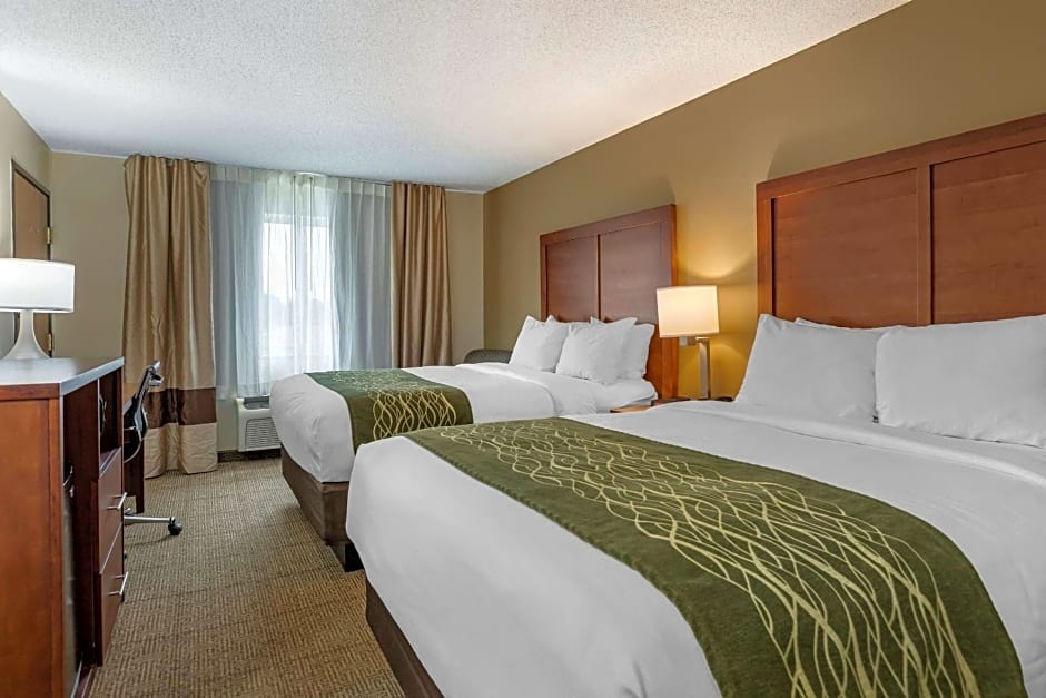 Comfort Inn & Suites Dimondale - Lansing