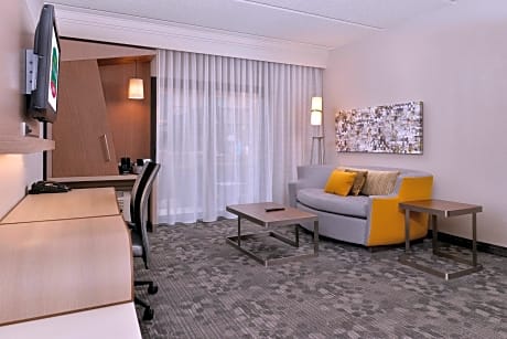 Suite, 1 Bedroom (1 King Bed and 1 Double Sofa Bed)