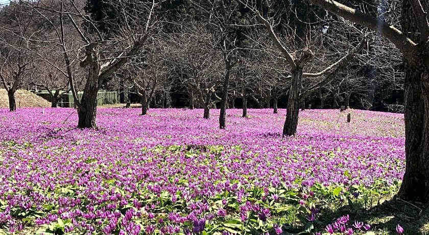 Kakunodate Guesthouse Fuga