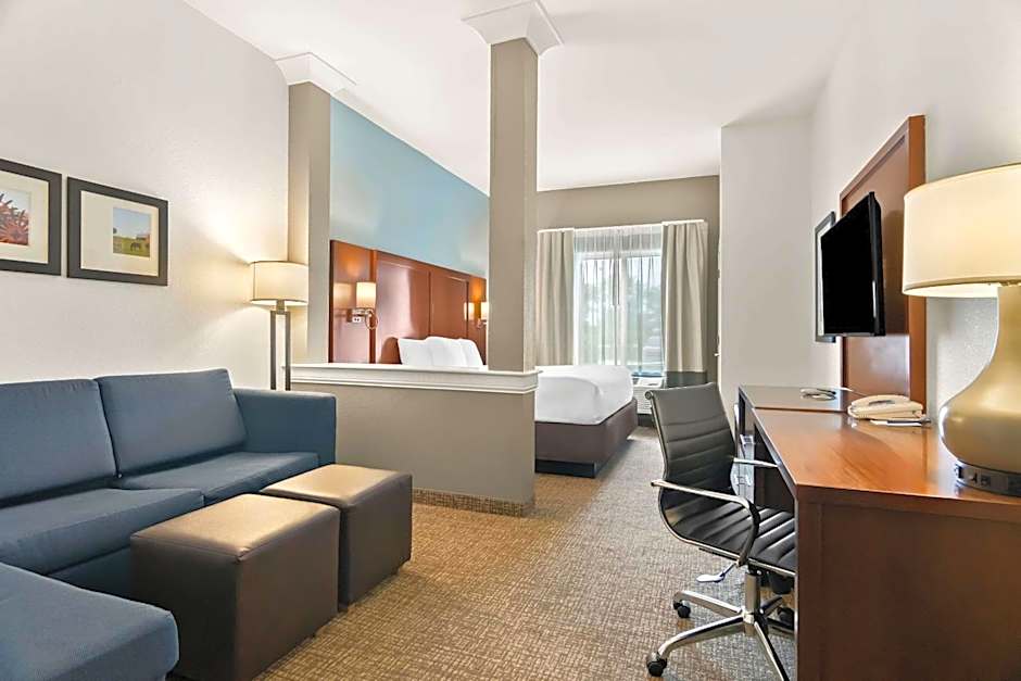 Comfort Suites Rensselaer near Fair Oaks