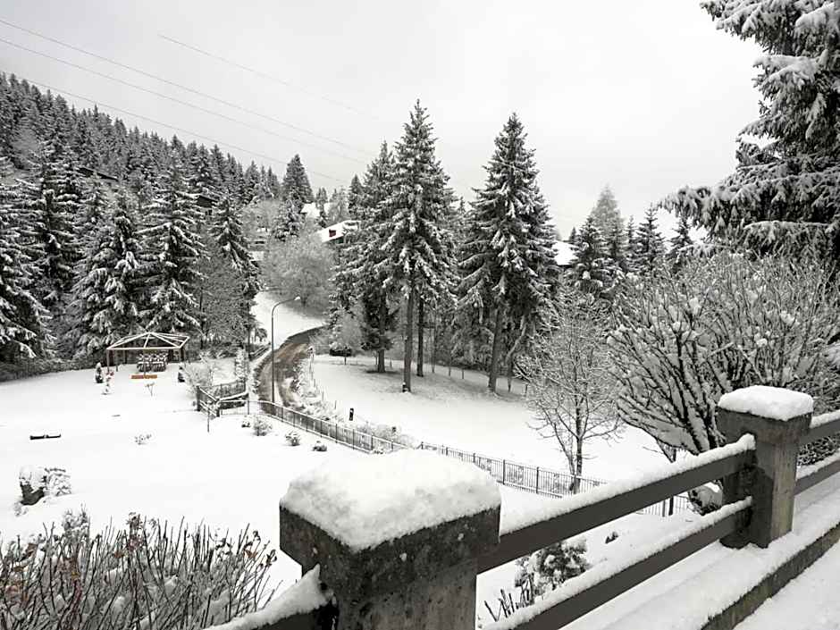 Albergo Ristorante Scanapà