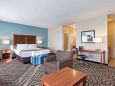 1 King Bed Deluxe Suite Non-Smoking