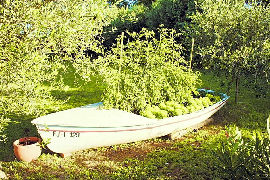 Cà Donzella
