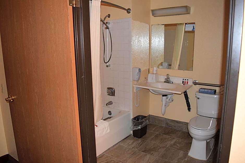 Super 8 by Wyndham Saginaw