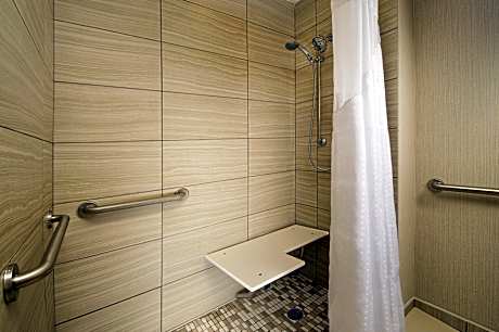 1 King Bed Standard Mobil Accessible Tub