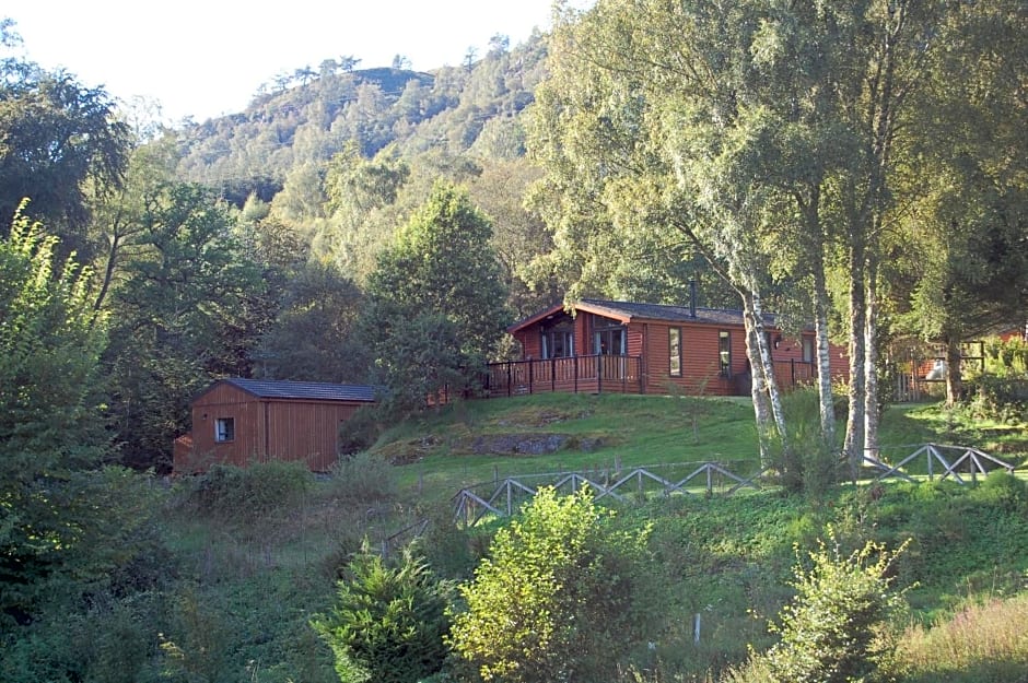 Luxury woodland Alder Lodge