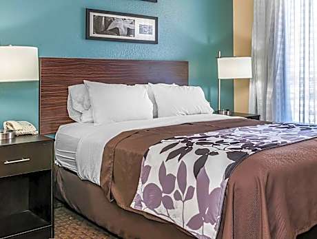 1 Bedroom Accessible