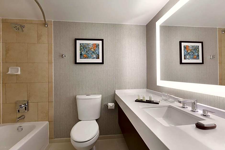 Embassy Suites By Hilton Hotel Chicago-Lombard/Oak Brook