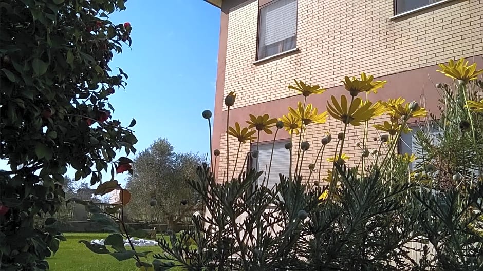 B&B Casa degli Ulivi