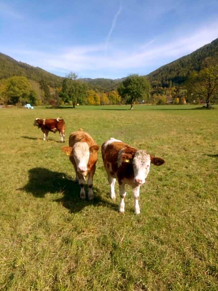 Haus Bergblick am Grünen See