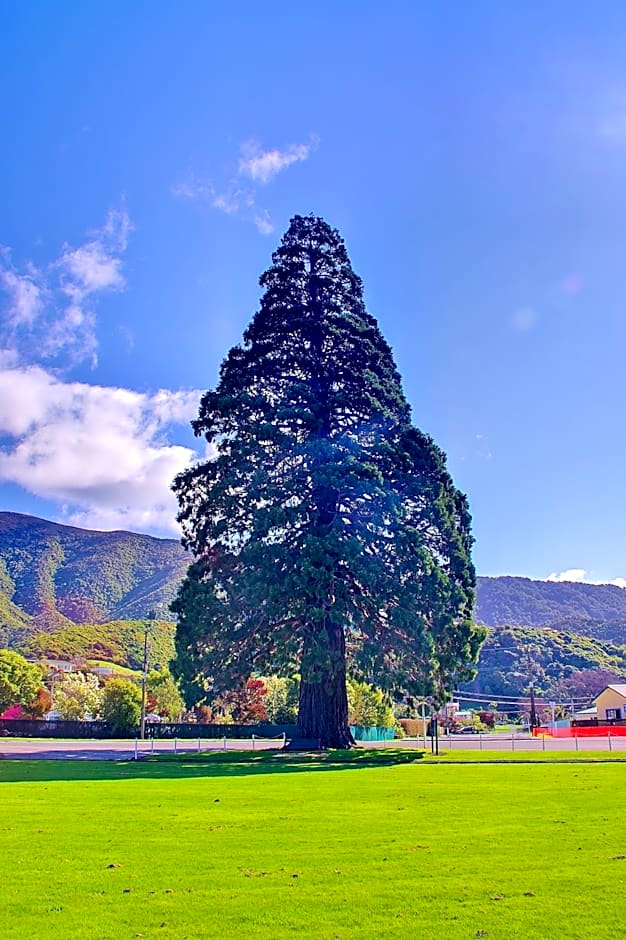 Sequoia Lodge Backpackers