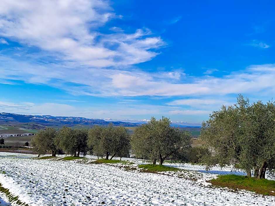 Palazzetto del Pittore in San Quirico d'Orcia