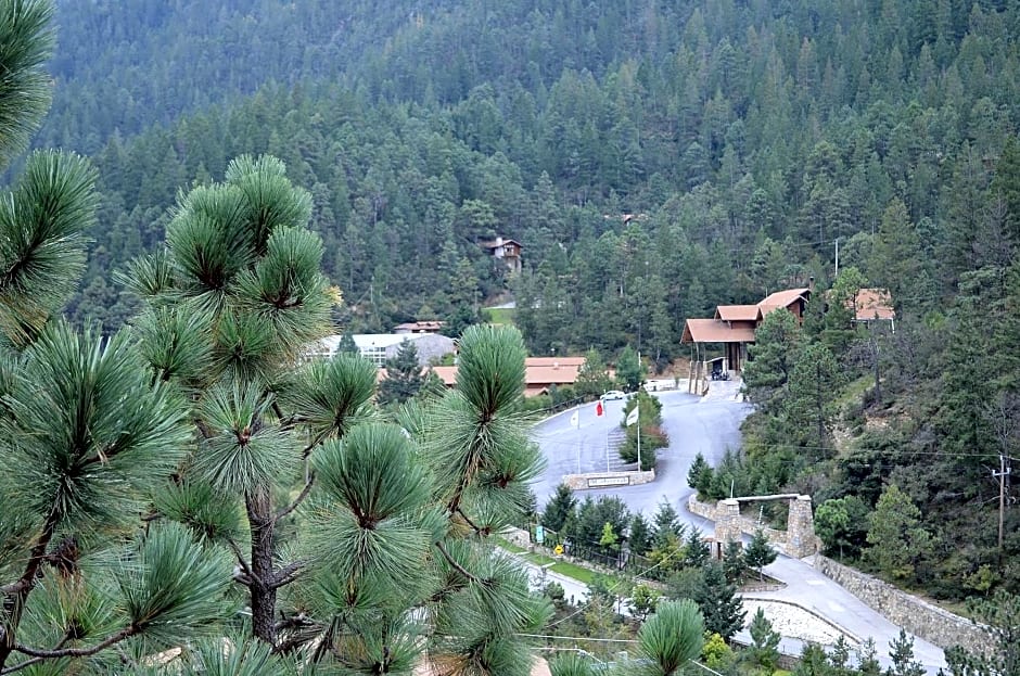 Bosques de Monterreal