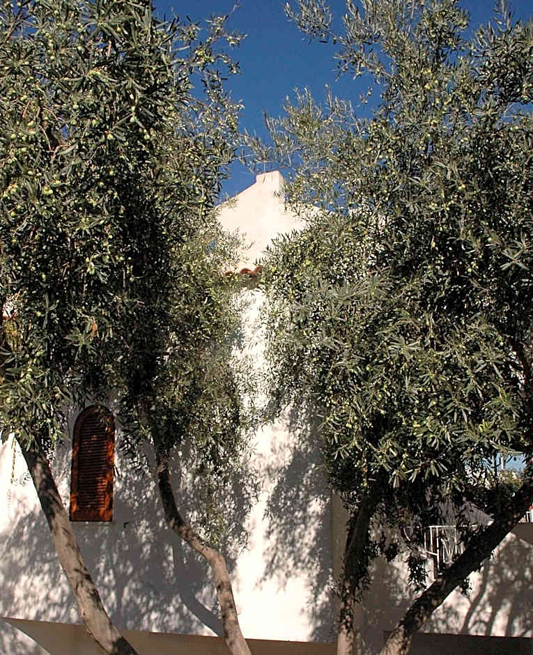 Residence Villa Tina