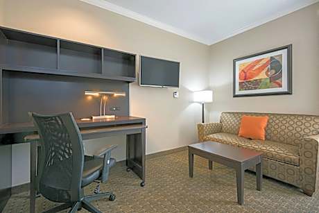 Studio Suite, 1 King Bed with Sofa bed (1 King Bed and 1 Double Sofa Bed)