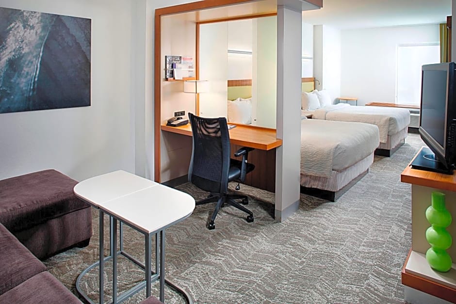 Springhill Suites by Marriott Savannah Downtown Historic District