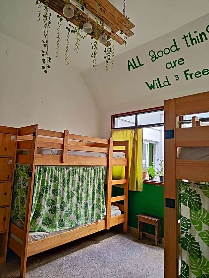 Hostel Vagamundo