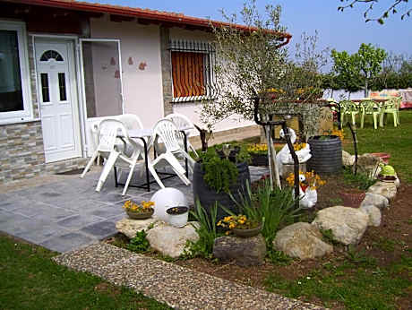 Standard Triple Studio