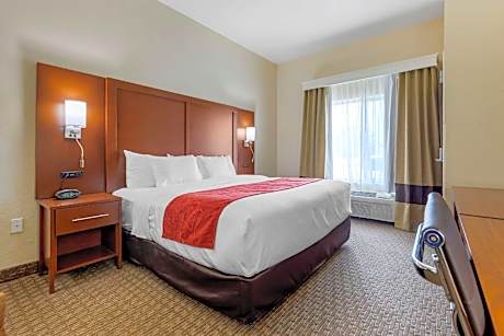 1 King Bed, Suite, Nonsmoking