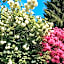 Les jardins de Beaumont