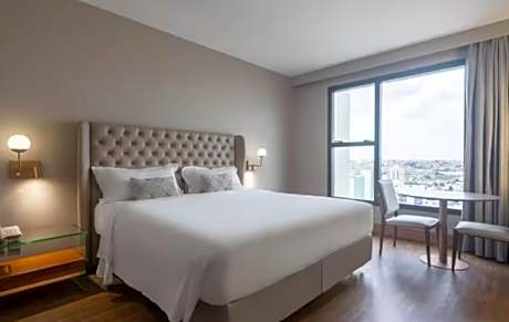 Superior Executive Suite - 1 person