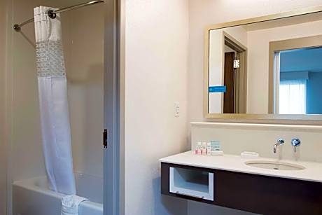 2 QUEEN MOBILITY ACCESS TUB STUDIO NOSMOK