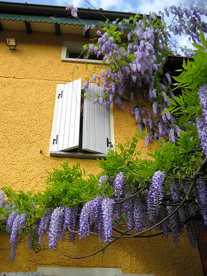 La casa tra i vigneti