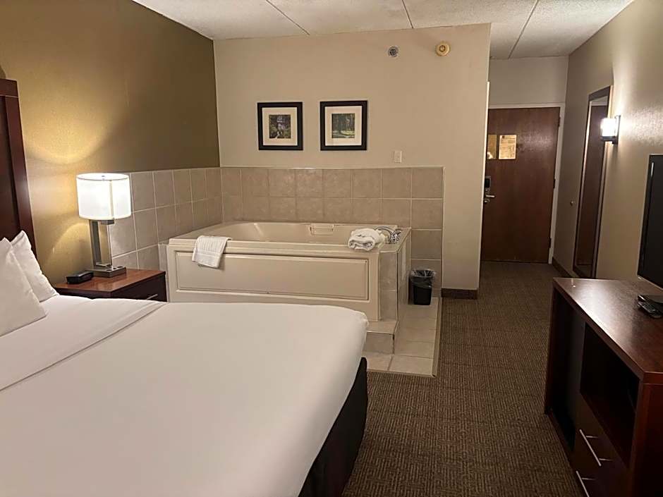 Comfort Inn  Farmington Hills - Detroit Northwest