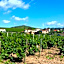 Logis Hotel Des Grands Vins