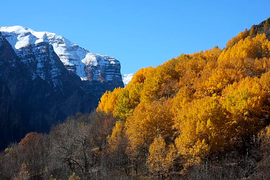 Hôtel Restaurant Gîtes Les 5 Saisons