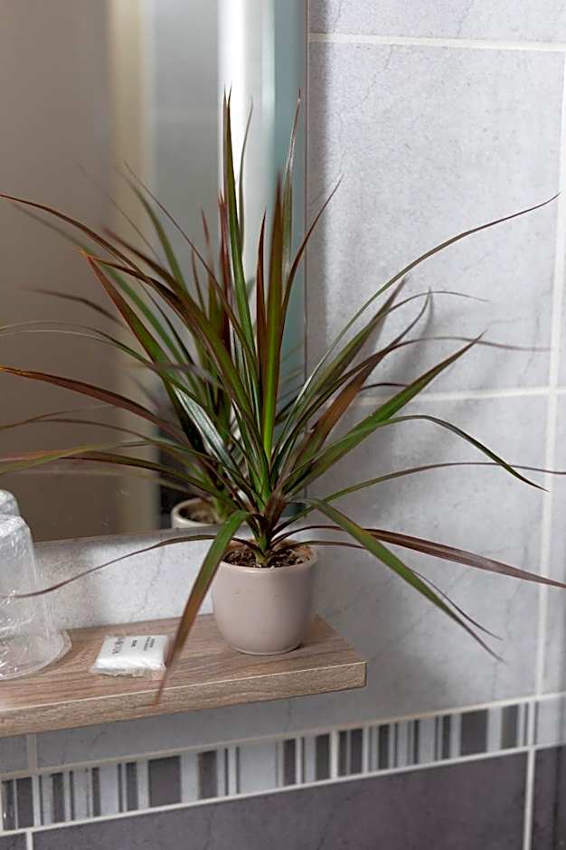 Logis-Hotel & Restaurant LE CARNOT