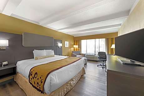 King Room with Roll-In Shower - Disability Access