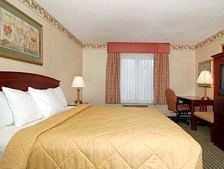 1 Bedroom Suite