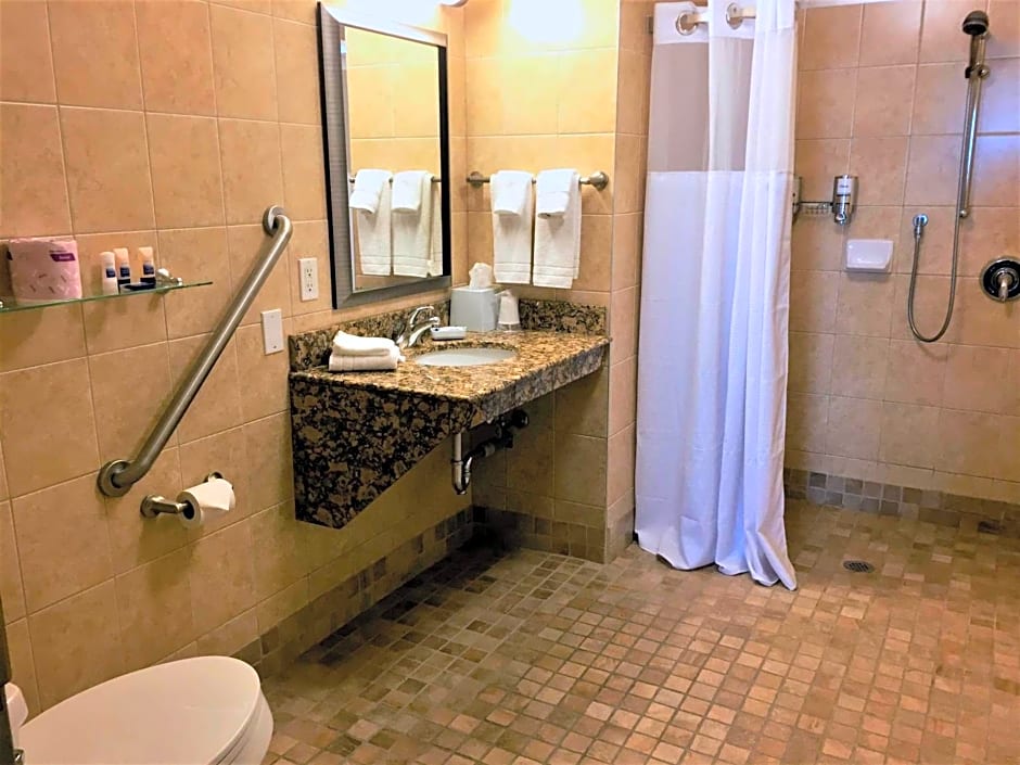 Photo 1 of 7 of King Suite - Disability Access/Non-Smoking