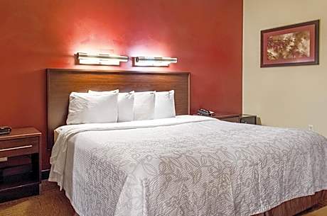 Suite King Room Smoke Free